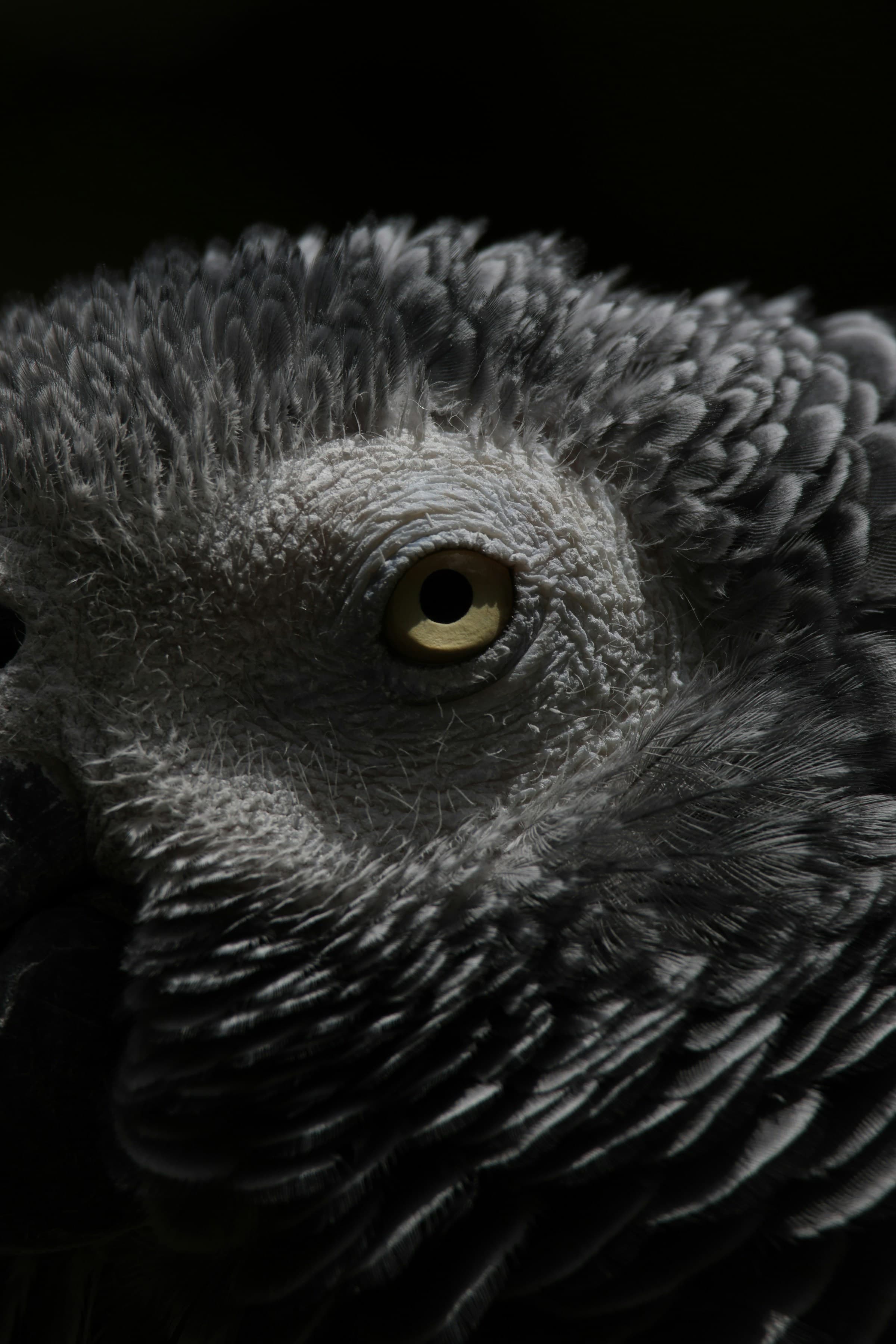 Award Winners — photo 6